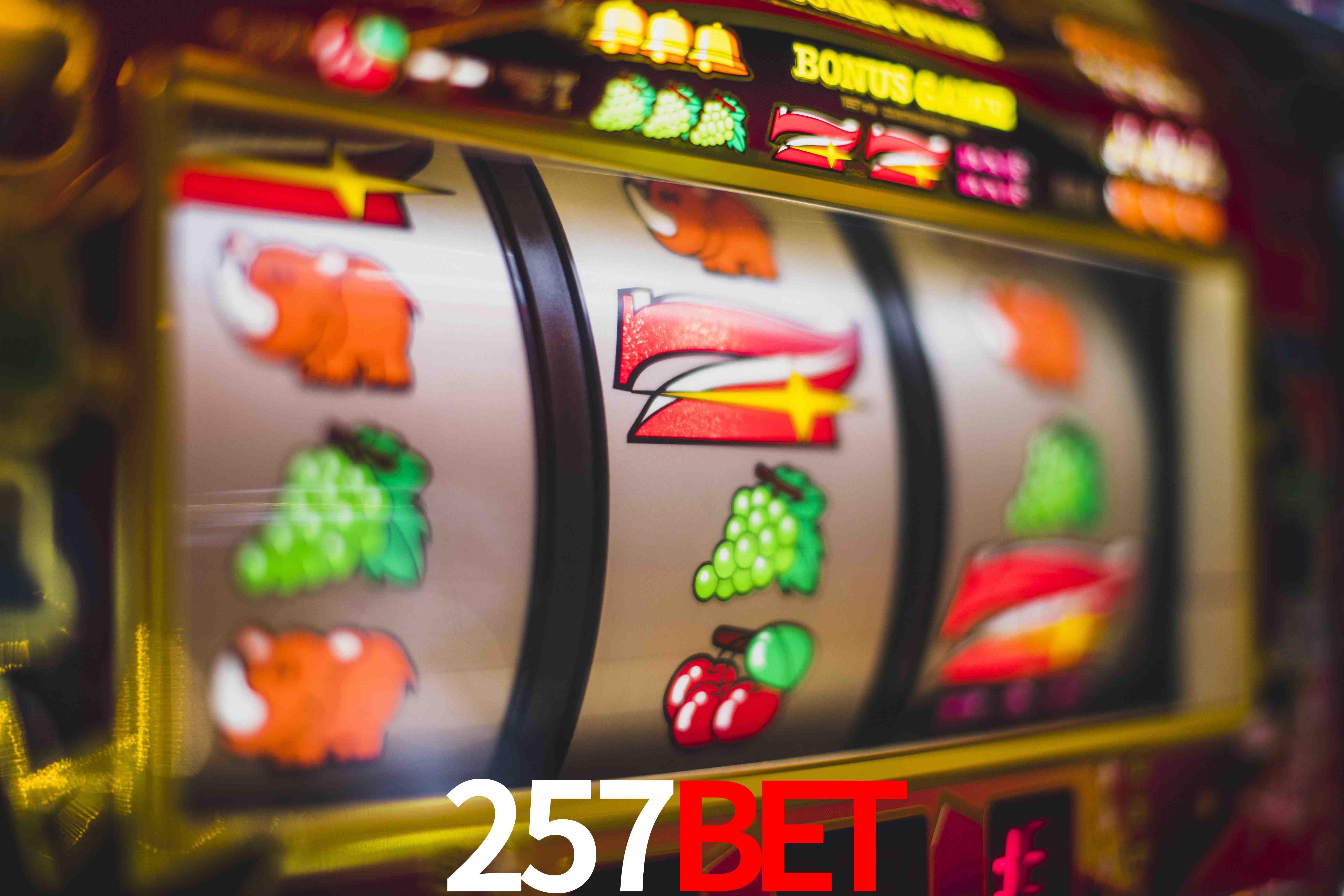 Crash Games Strategies 257bet