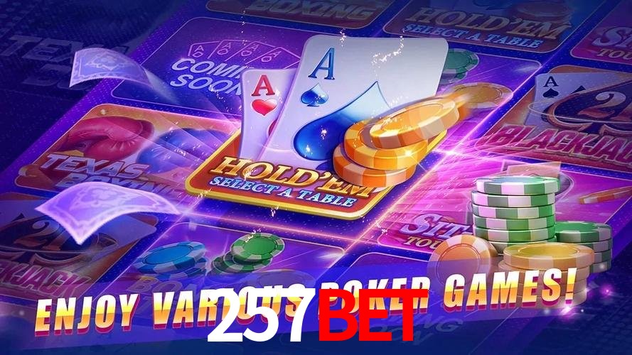 Interface Premium 257bet